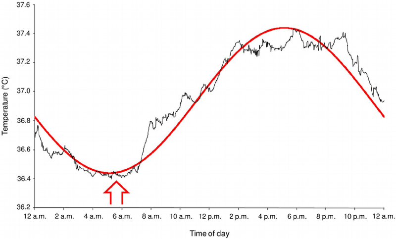 Best time of day to trade - body temperature chart