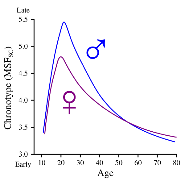 male and female differences with chronotype
